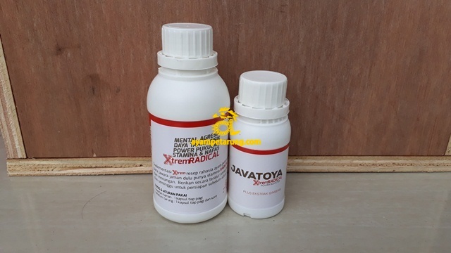 Jamu Ayam Bangkok Aduan Sebelum Diadu Javatoya XtremRadical Power Booster